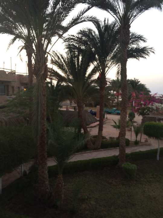 Ausblick Utopia Beach Club