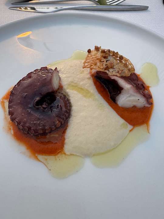 Gastro Paloma Finesse