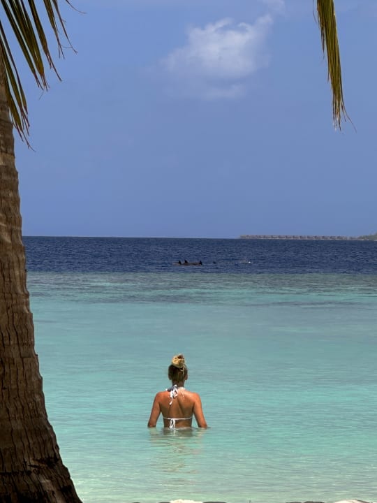 Strand Adaaran Select Meedhupparu Island Resort - Premium All Inclusive