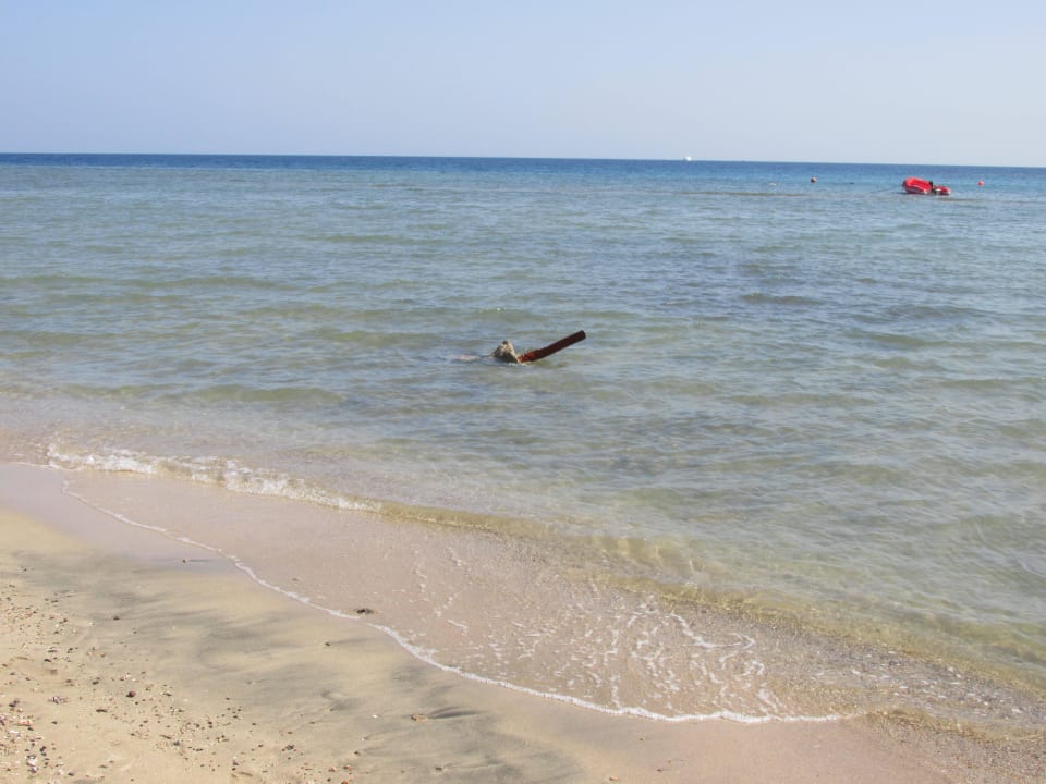 Dort standen noch die Sonnenschirme  Three Corners Equinox Beach Resort