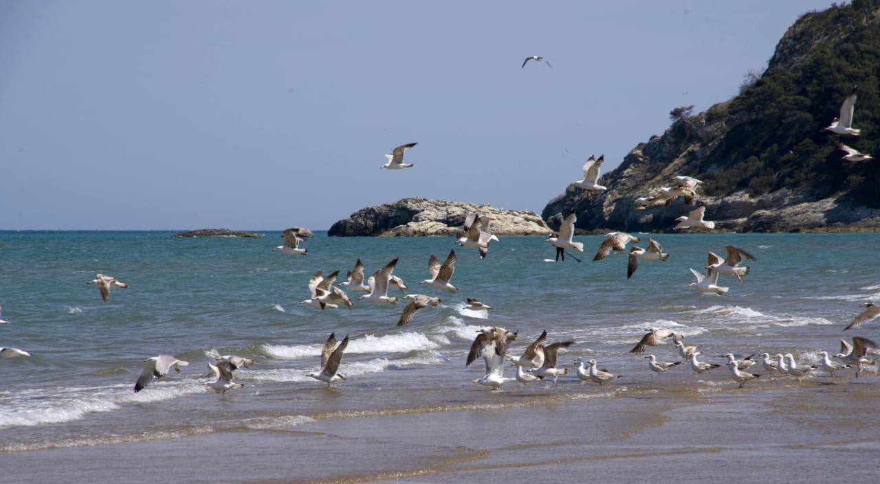 Hotelstrand südlicher Blick Hotel Portonuovo