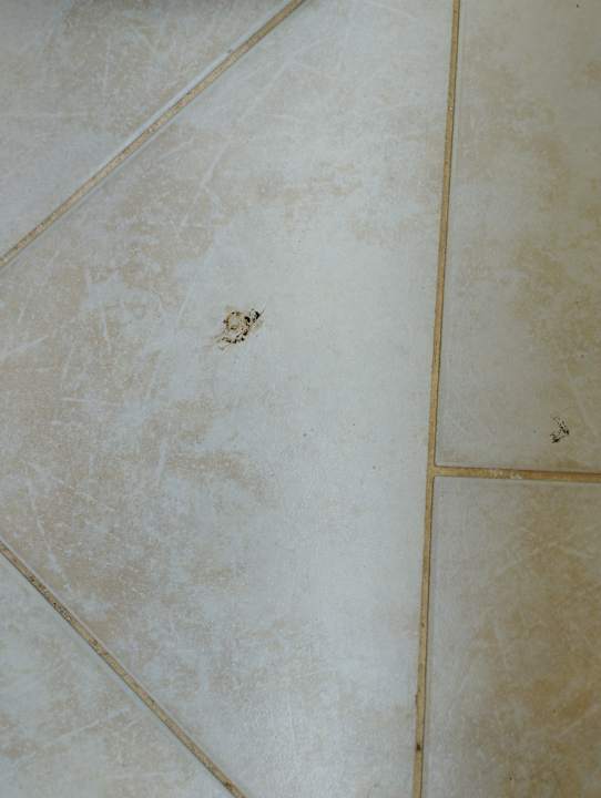 Zimmer La Blanche Island Bodrum