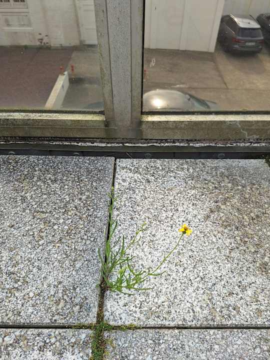 Sonstiges Ferienwohnung Kalfamer 24