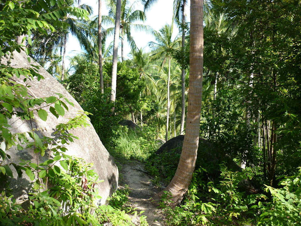 Weg zum Strand Seaview Thansadet Bungalows