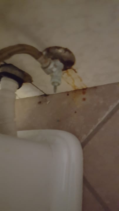 Zimmer Hotel Diani Sea Lodge