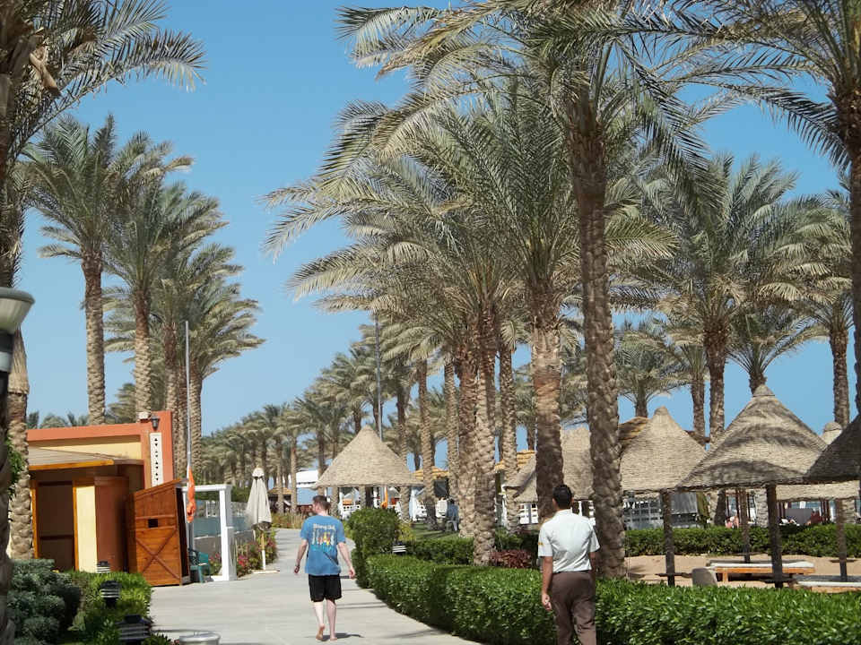 Plaża Sharm Grand Plaza Resort