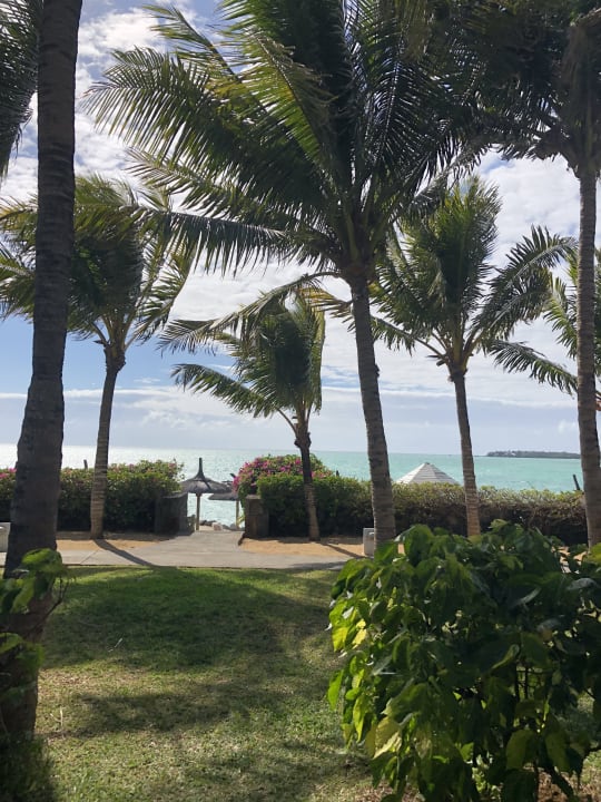 Gartenanlage Lagoon Attitude - Adults only