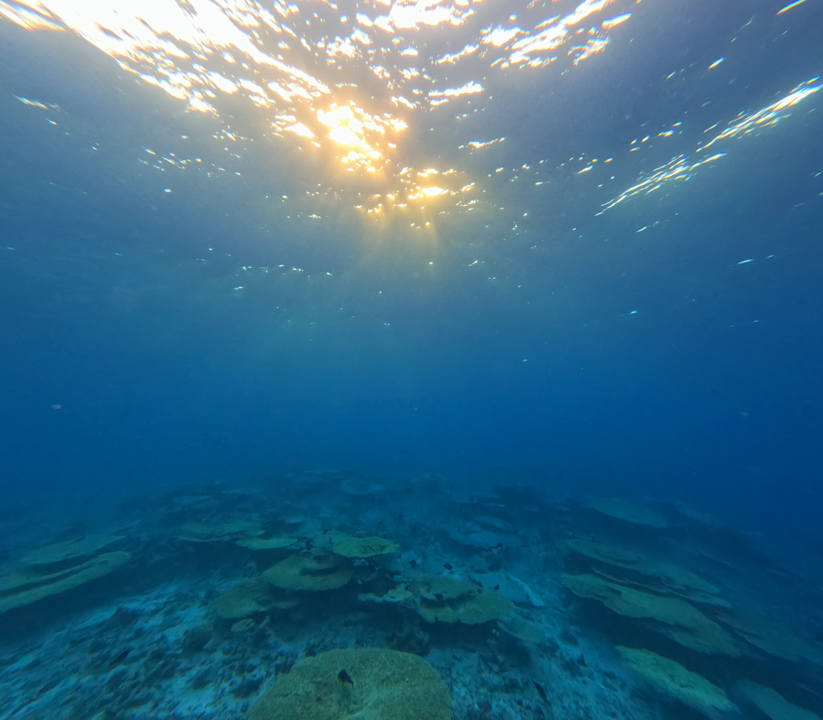 Sport & Freizeit Jardin Maore