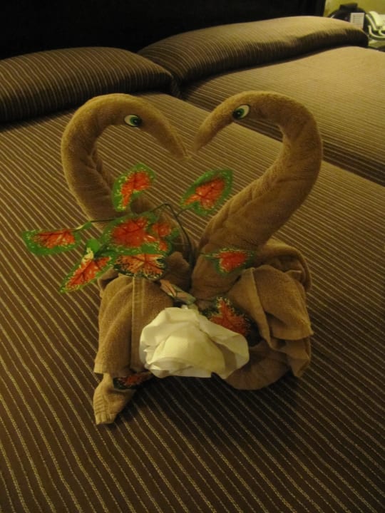 Herzlichkeit Hotel Riu Tequila