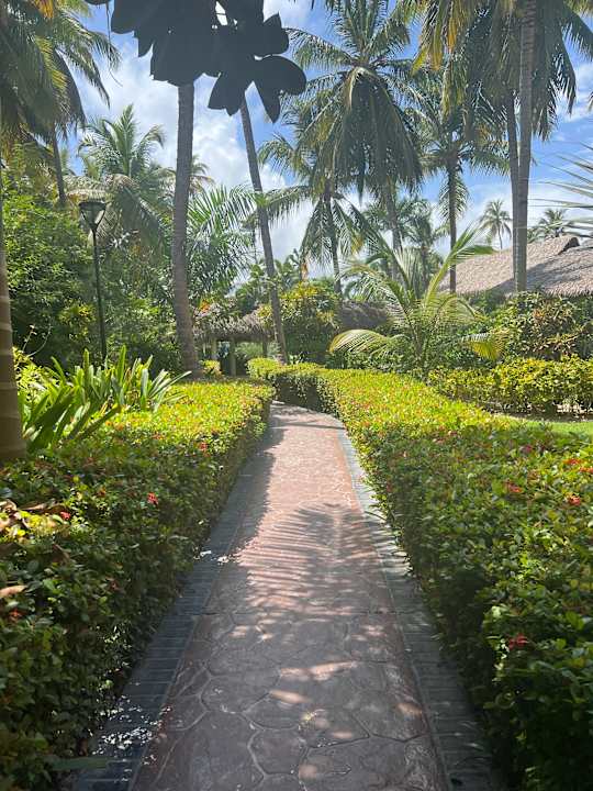 Gartenanlage TRS Turquesa Hotel - Adults only