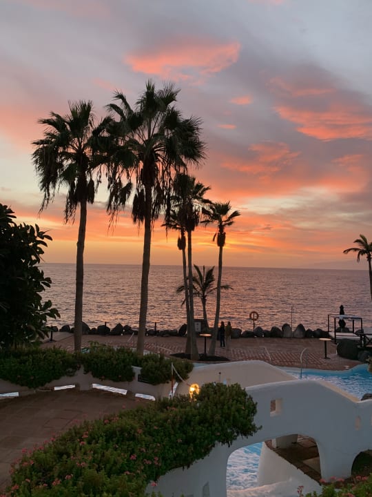 Pool Dreams Jardín Tropical