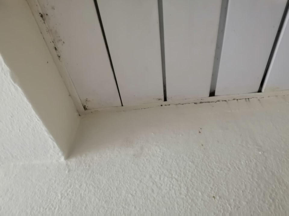 Zimmer Iberostar Origin Taínos