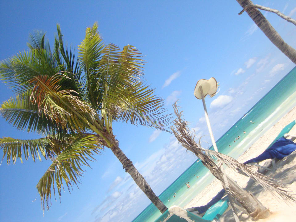 Hotel Catalonia Playa Maroma Catalonia Playa Maroma