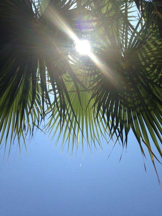 Вид над головой Hotel Ideal Beach