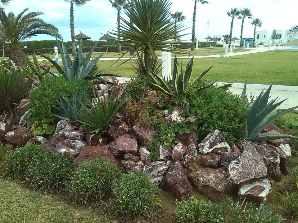 Steingartendetail Hotel Amir Palace