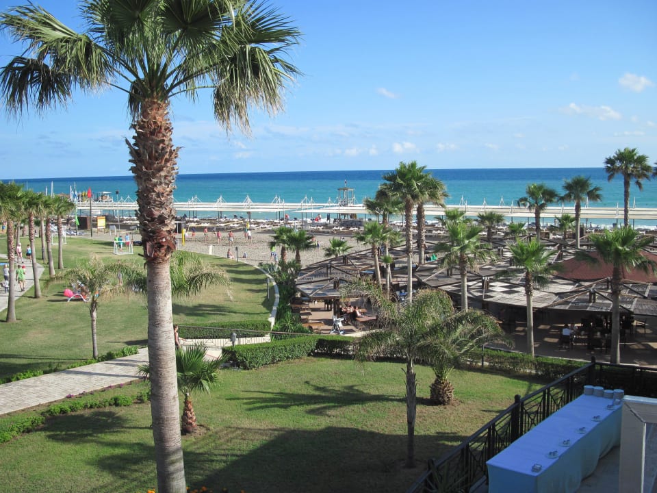 Ausblick TUI BLUE Palm Garden