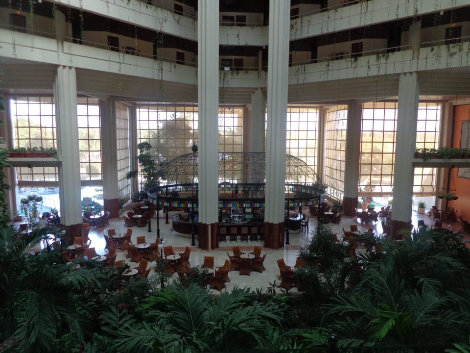 Lobbybar Blau varadero - Adults only