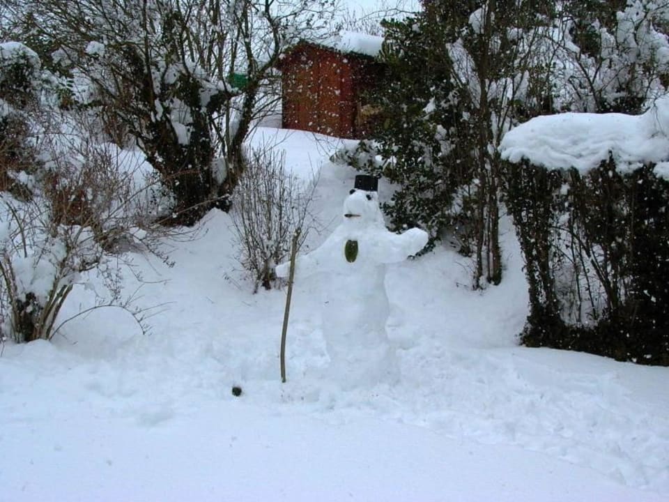 Garten im Winter Bed & Breakfast Zürich Overnight