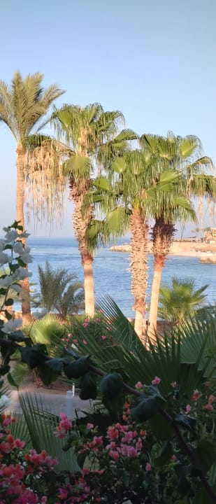 Ausblick Steigenberger Coraya Beach - Adults only