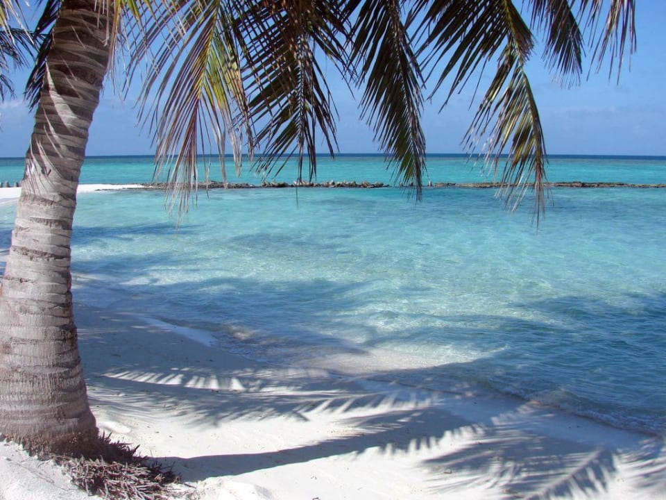 Atoll im Indischen Ozean Summer Island Maldives