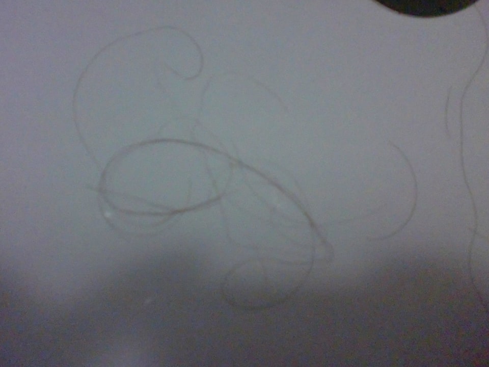 Sauberkeit sieht anders aus !!! Side Alegria Hotel & Spa - Adults only +16