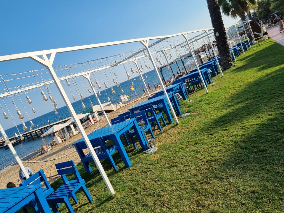 Gastro TUI MAGIC LIFE Beldibi +16