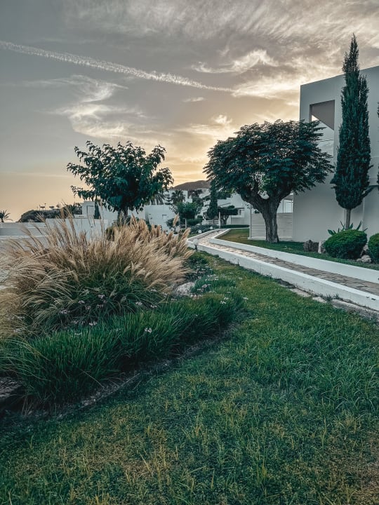 Gartenanlage Dimitra Beach Hotel & Suites