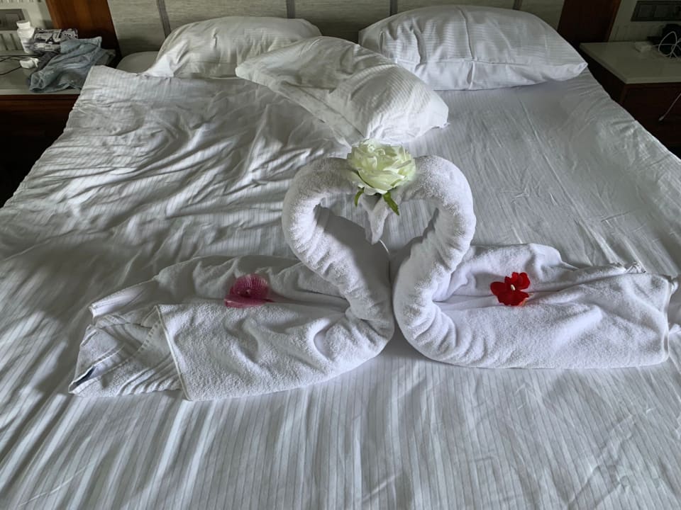 Zimmer Seaden Quality Resort & Spa