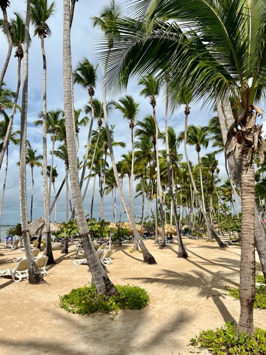 Strand Bahia Principe Luxury Bouganville