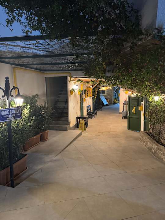 Gartenanlage Hane Family Resort