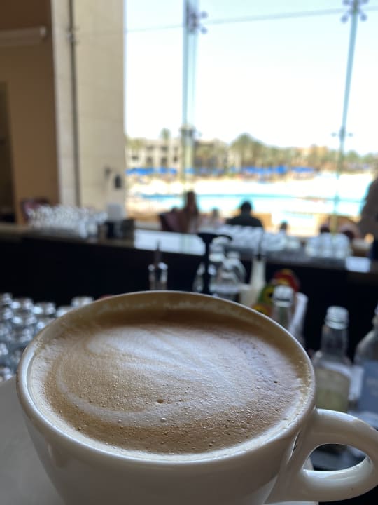 Gastro Pickalbatros Palace Hotel-Port Ghalib