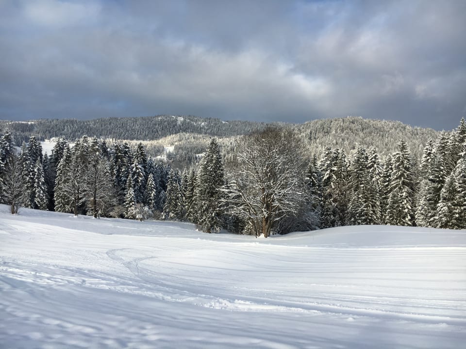 Sonstiges Wohlfühlresort Peternhof