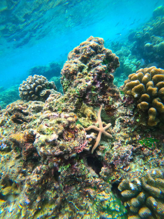 Sport & Freizeit Filitheyo Island Resort