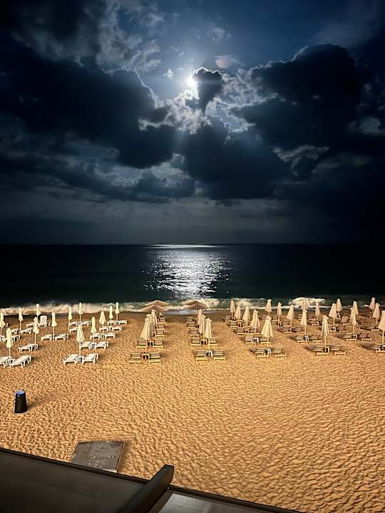 Strand GRIFID Noa
