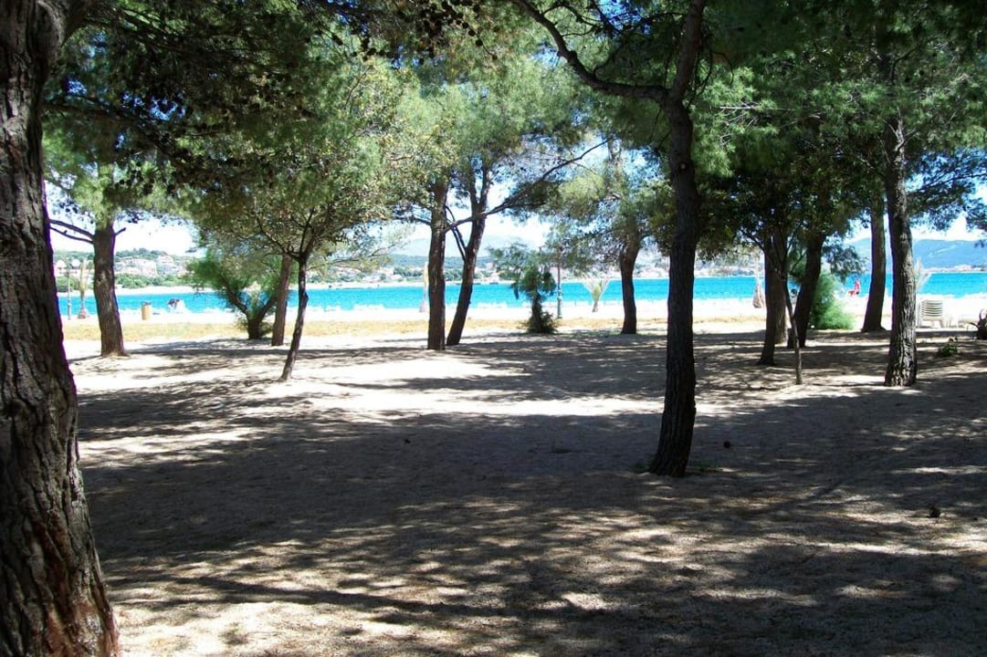 Ein paar Schattenspender zwischen Hotel und Strand Amadria Park Kids Hotel Andrija