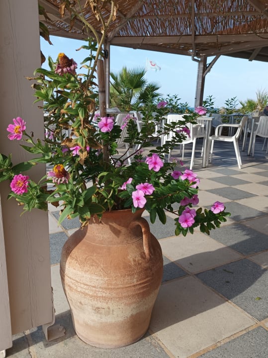 Sonstiges Golden Beach Rethymnon