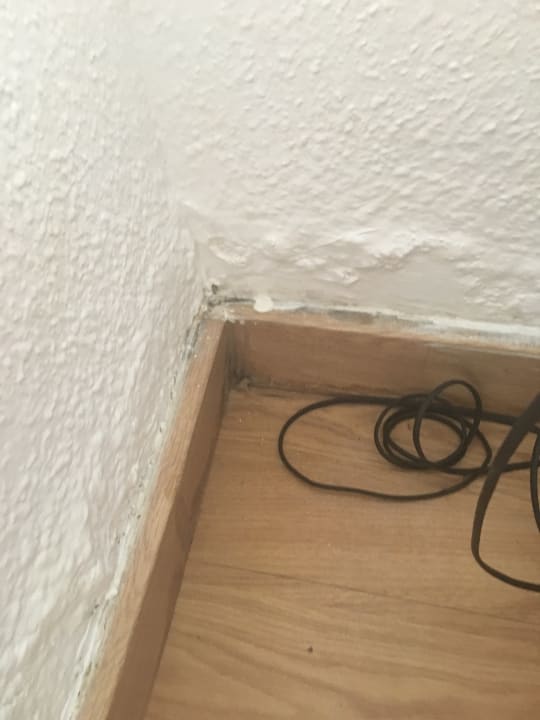 Zimmer Playa Esperanza Resort