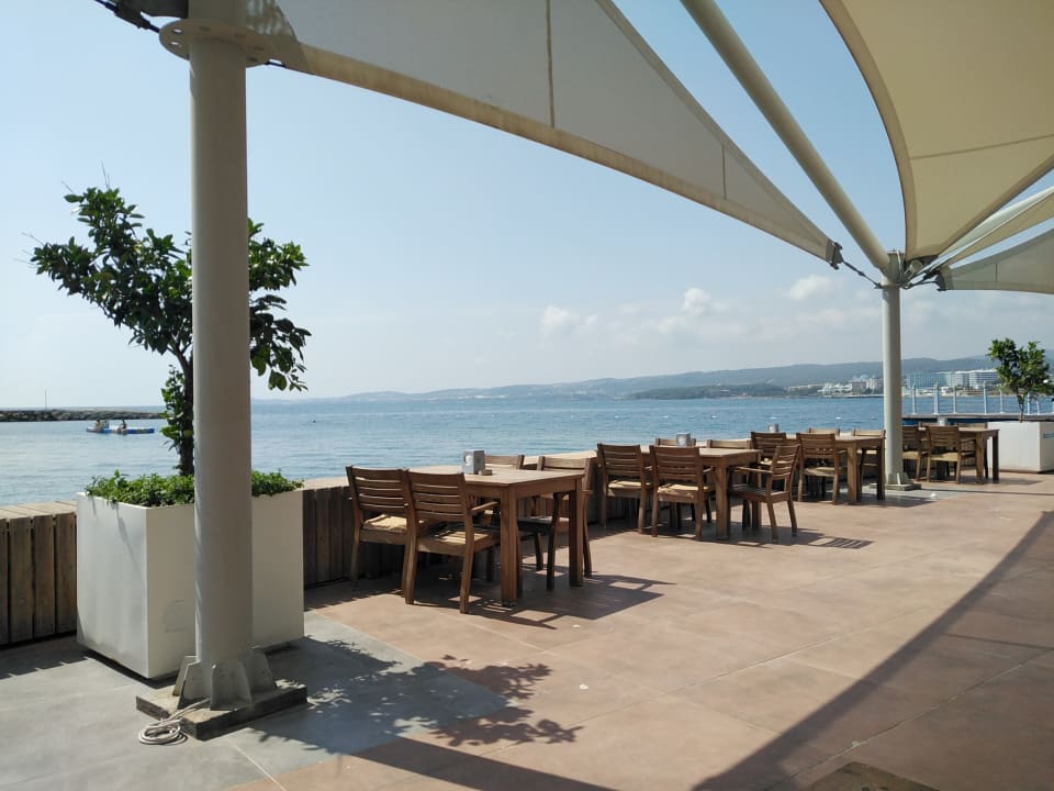 Gastro Gold Island Selected