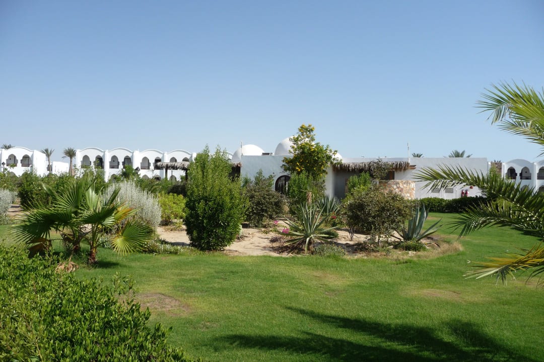 Pizzeria vom Garten aus Hotel Gorgonia Beach Resort
