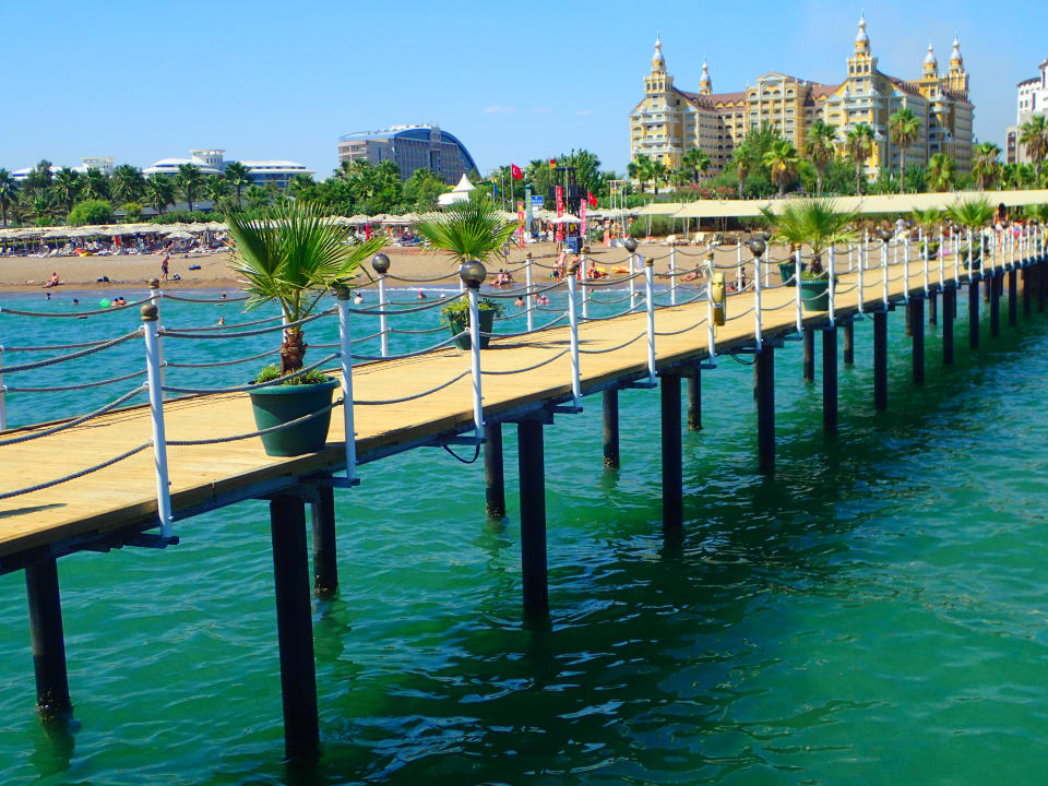 Strand Royal Seginus