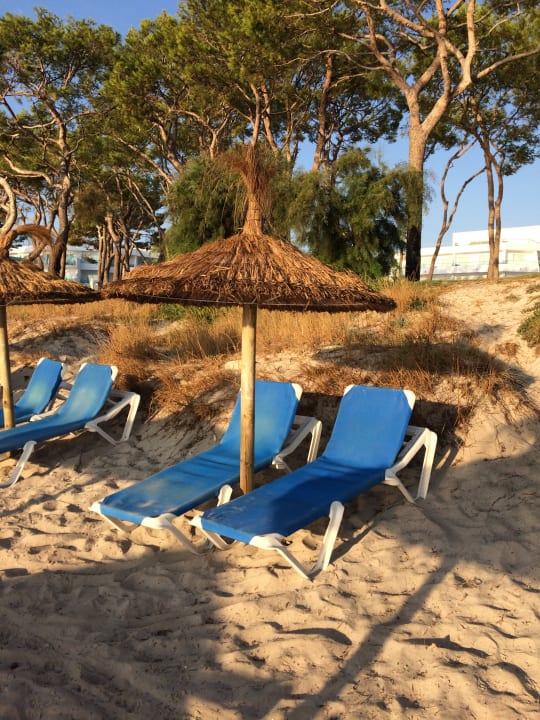 Strand Iberostar Waves Playa de Muro