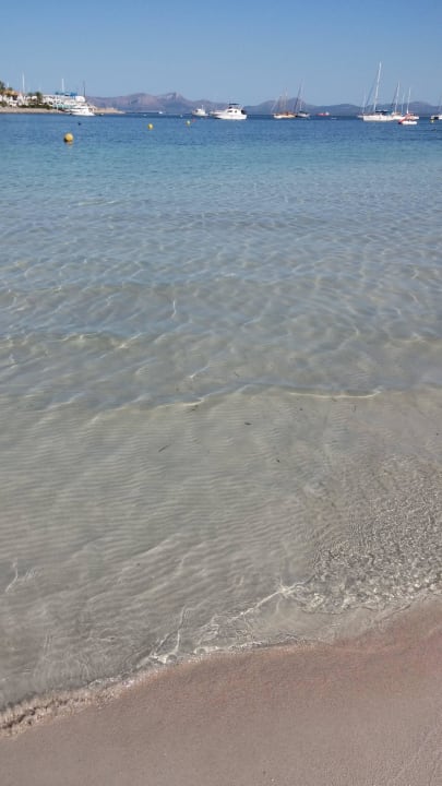 Flach abfallend Alcudia Garden Aparthotel