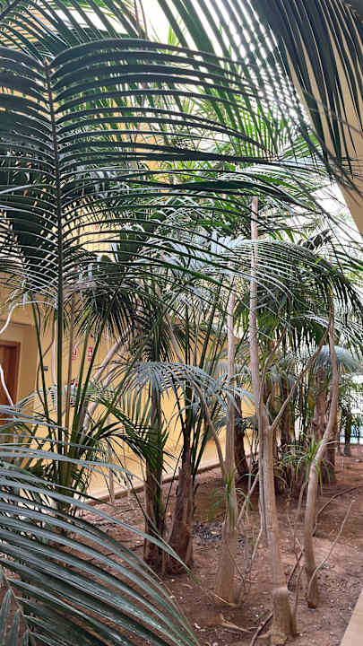 Sonstiges Zafiro Mallorca