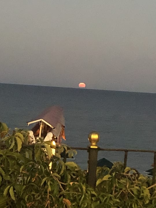 Ausblick Aleria Belport Beach Hotel