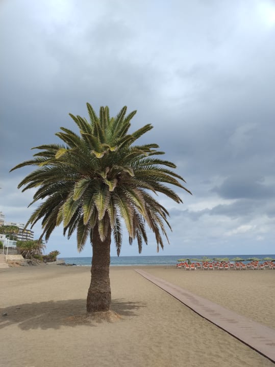 Strand Corallium Beach by Lopesan Hotels - Adults only