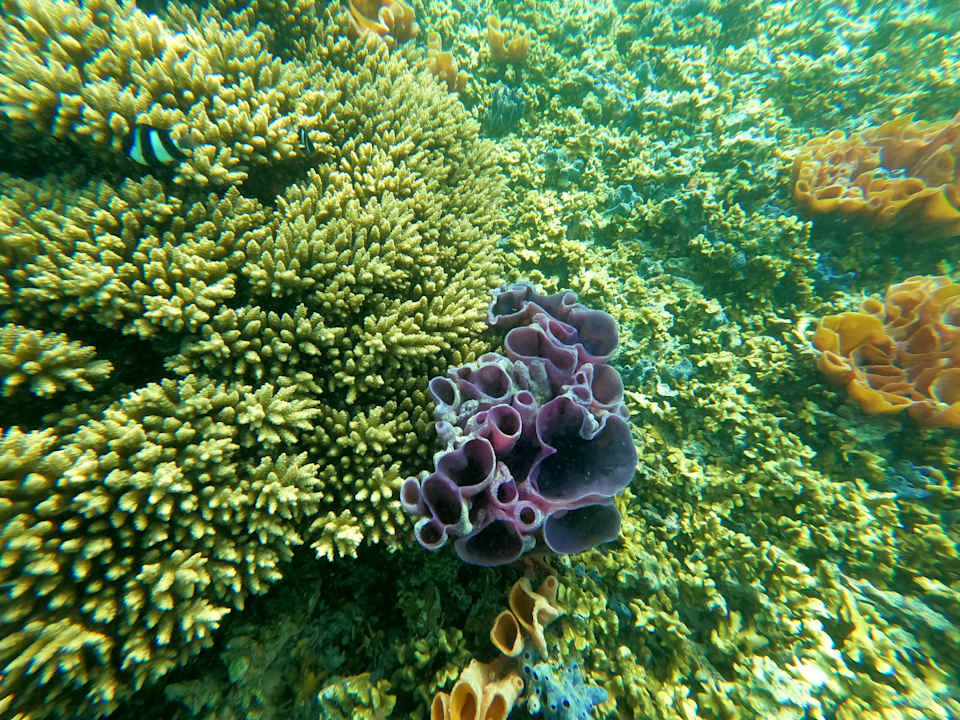 Strand Shandrani Beachcomber Resort & Spa