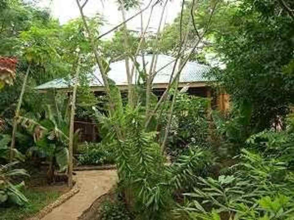 Garten Boko Boko Porini Farm- and Guesthouse