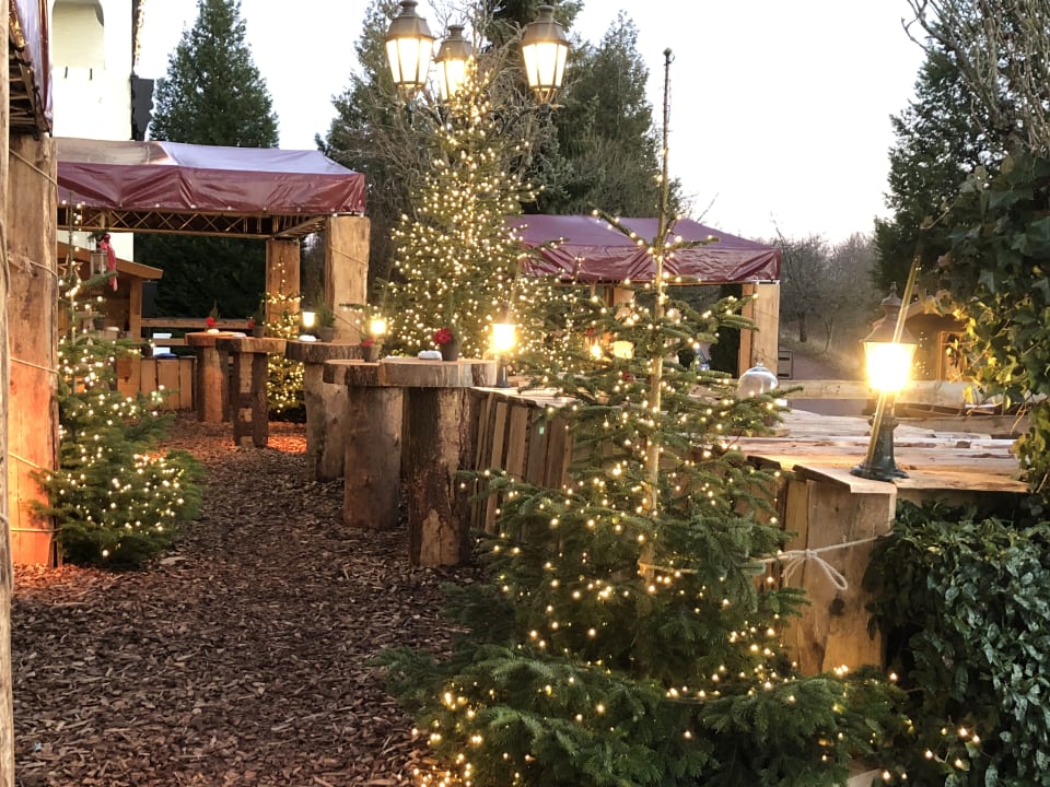 Ausblick Victor's Seehotel Weingärtner