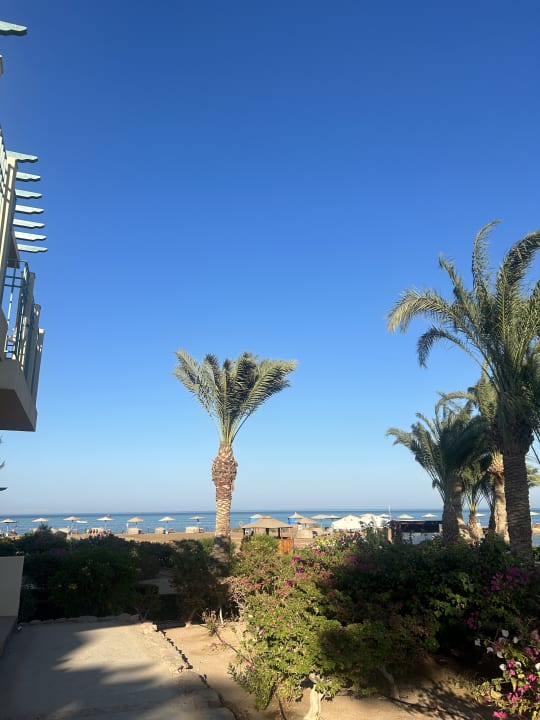 Ausblick Mövenpick Resort & Spa El Gouna