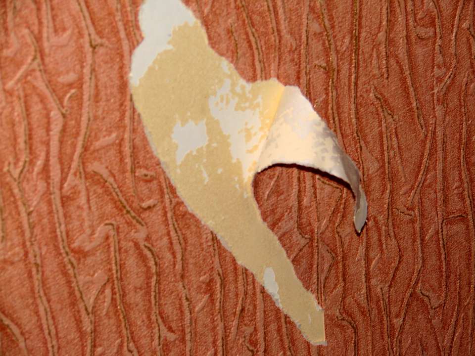 Małe usterki na korytarzu Manor Hotel